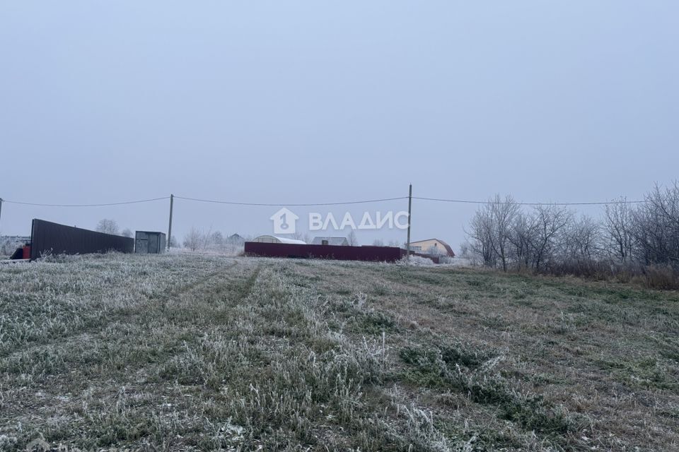 земля городской округ Зарайск д. Новоселки фото 4