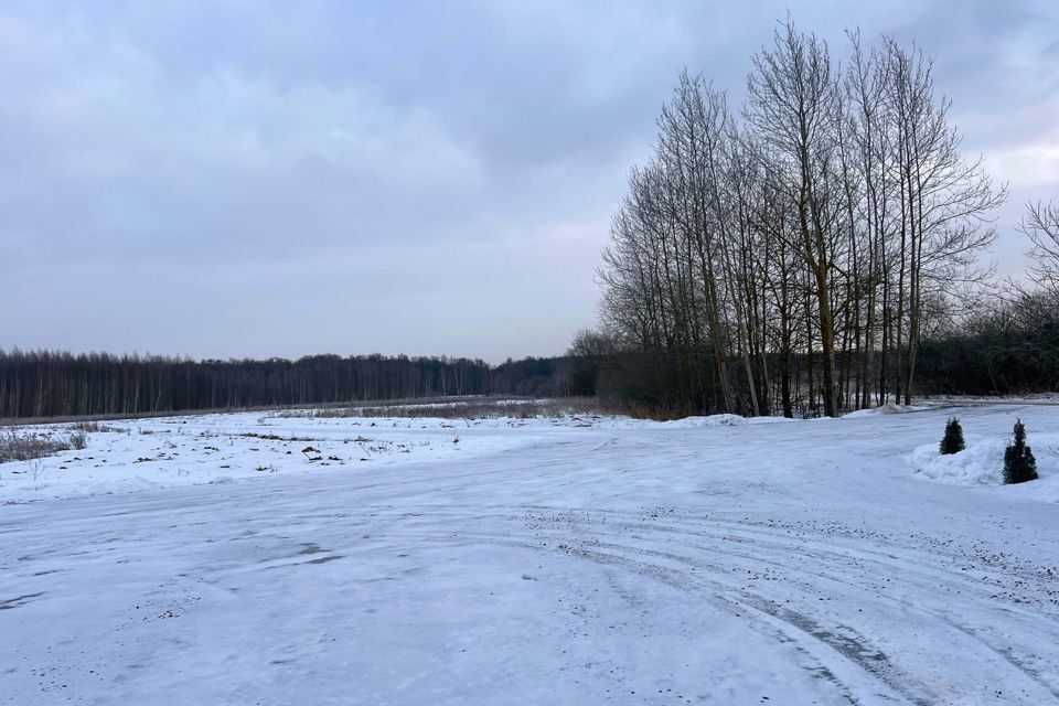 земля городской округ Раменский с Софьино 200 фото 3