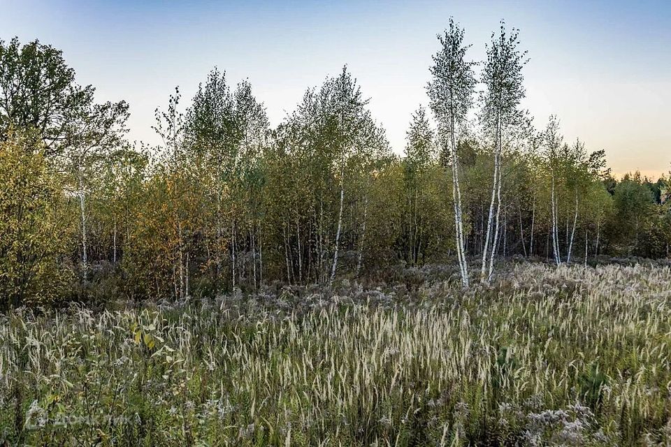 земля городской округ Одинцовский Новое Николино фото 2