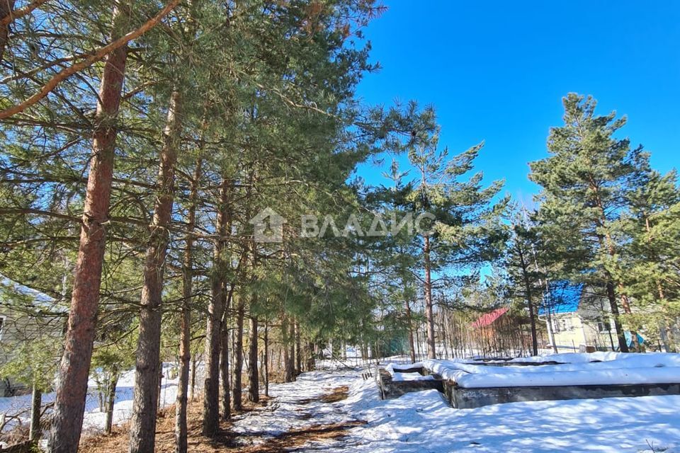 земля городской округ Орехово-Зуевский д Яковлевская снт Монтажник 161 фото 1