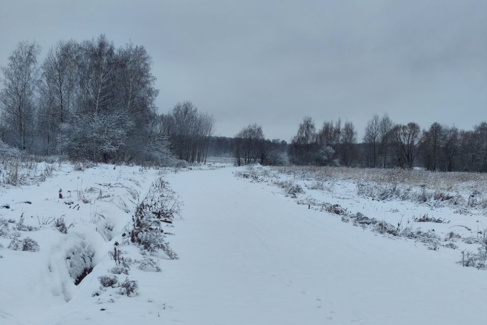 земля городской округ Орехово-Зуевский д. Кудыкино фото 2