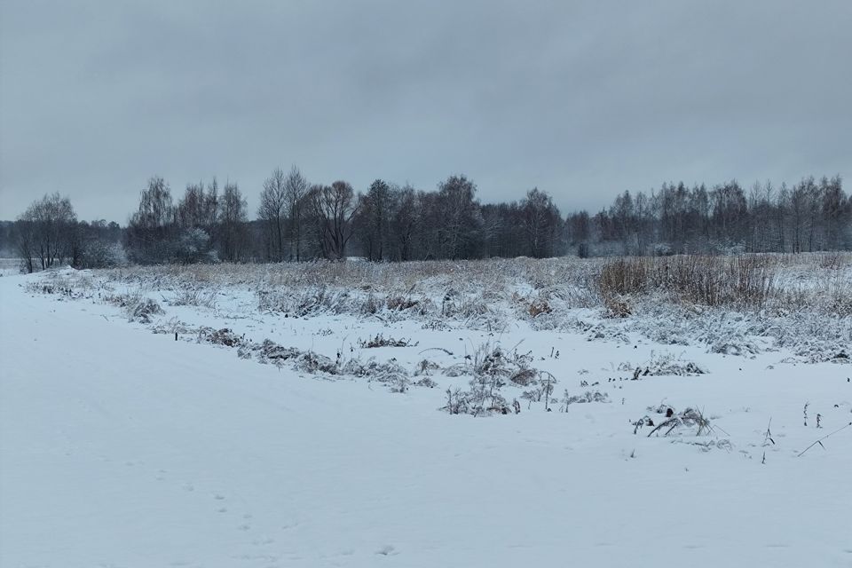 земля городской округ Орехово-Зуевский д. Кудыкино фото 3