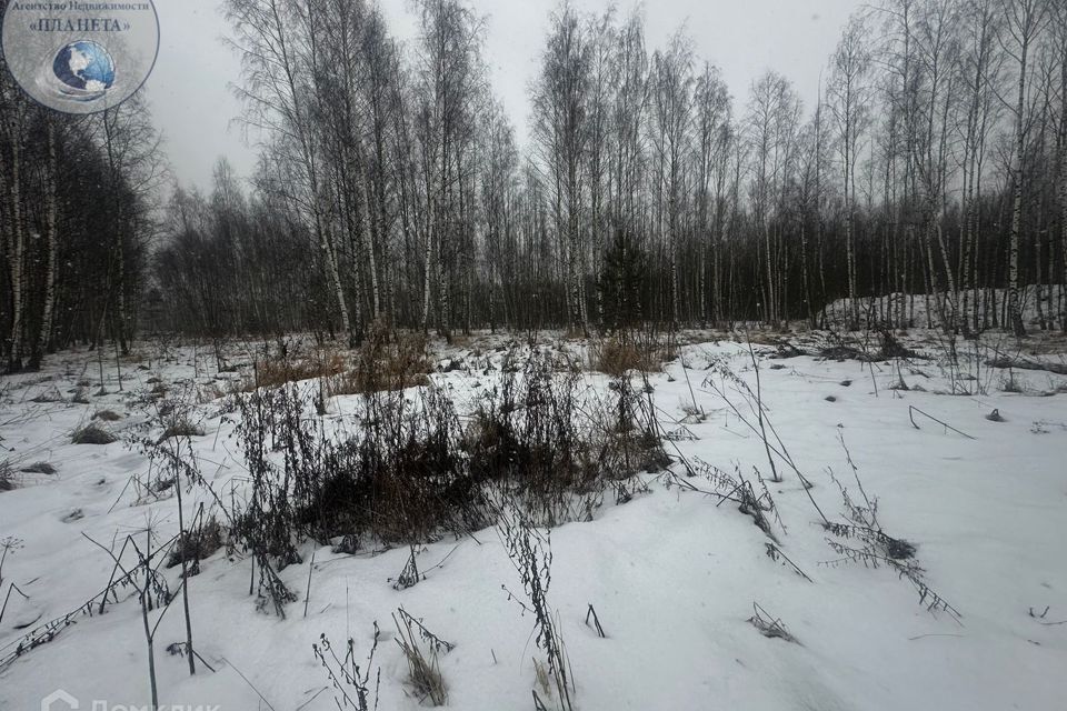 земля городской округ Богородский д. Аксено-Бутырки фото 4