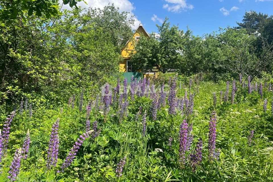 земля городской округ Раменский д Кузнецово Урожайная улица фото 5