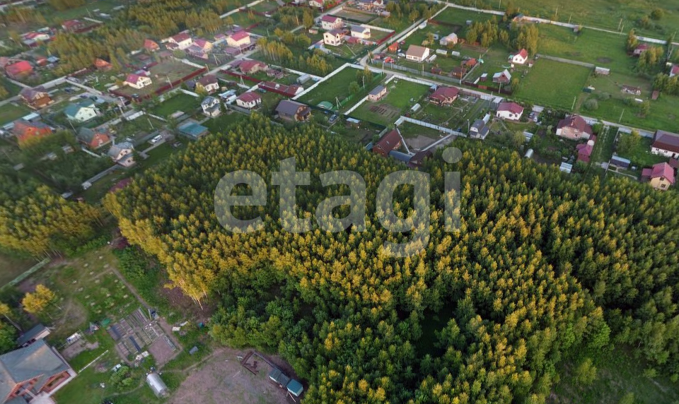 земля городской округ Раменский фото 8