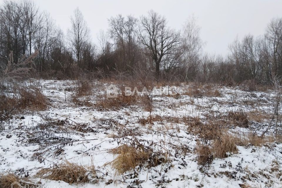 земля городской округ Зарайск д. Малые Белыничи фото 8