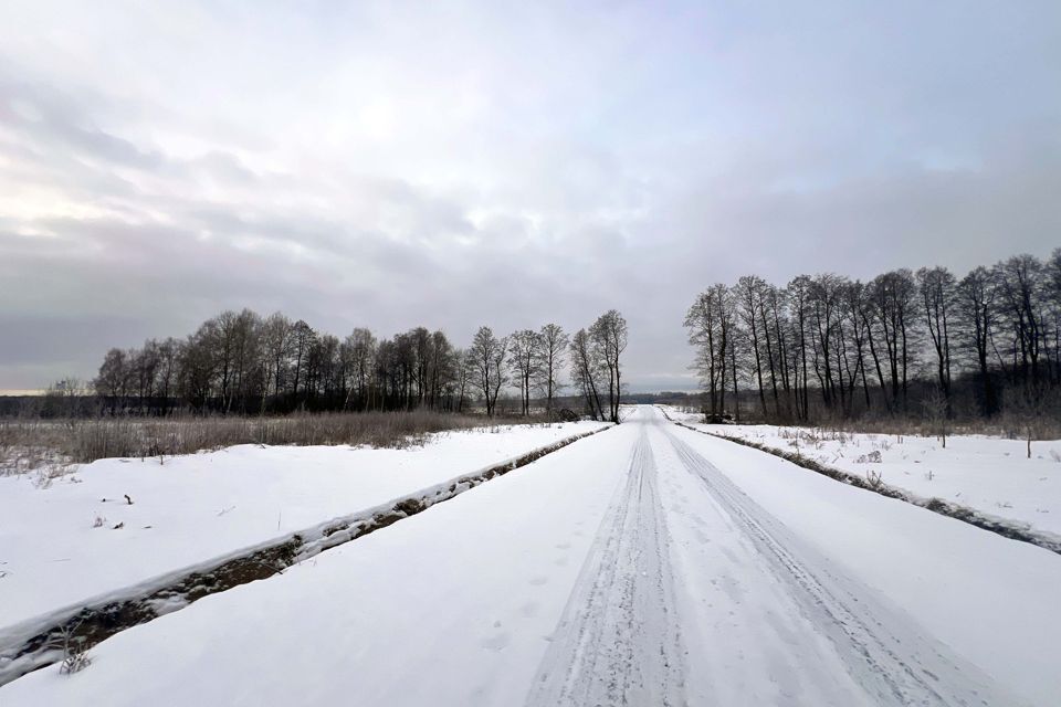 земля городской округ Раменский с Софьино 200 фото 6