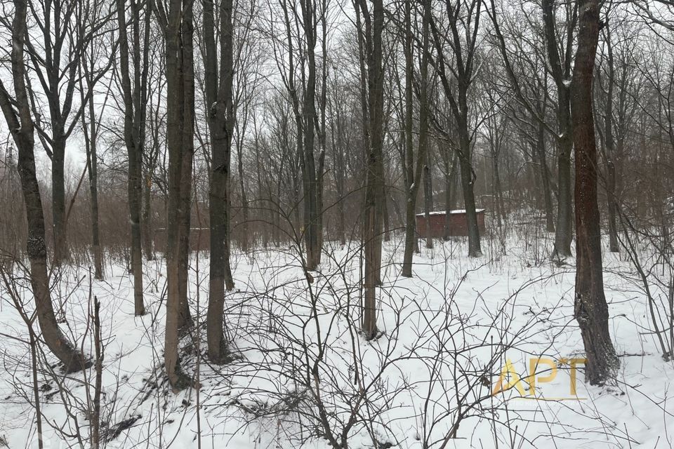 земля городской округ Солнечногорск д Жигалово ул Огородная Химки городской округ фото 6