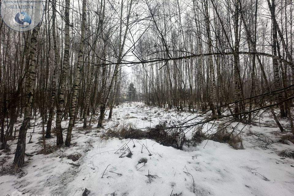 земля городской округ Богородский д. Аксено-Бутырки фото 9