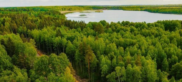 земля Токсовское городское поселение, Экофорест кп фото