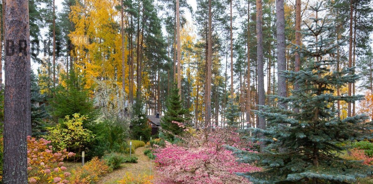 дом р-н Выборгский п Пески ул Центральная 42 Полянское с/пос, Морские Террасы кп фото 43