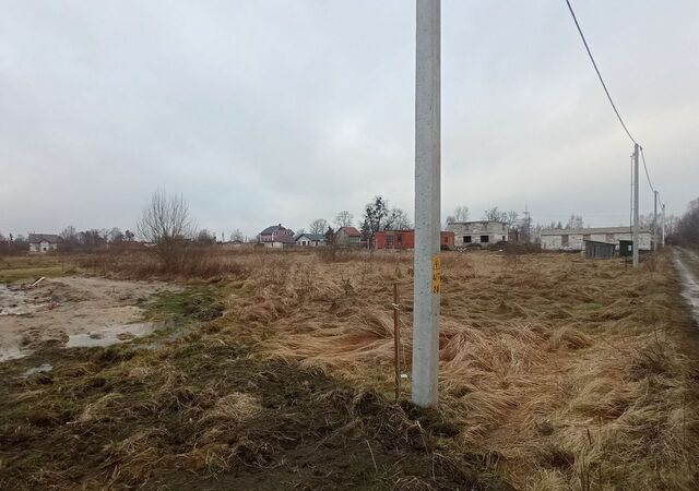 п Отважное Калининград, Багратионовский муниципальный округ фото