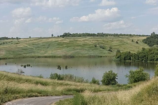 земля р-н Золотухинский село Никольское фото