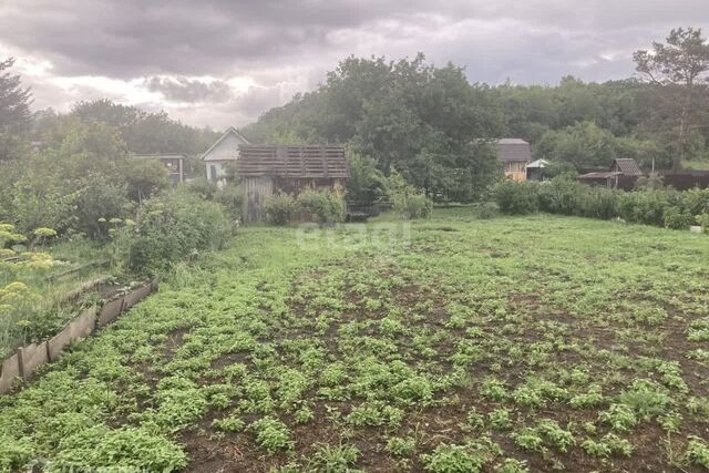 СТ Маслобойного завода, Благовещенск городской округ фото