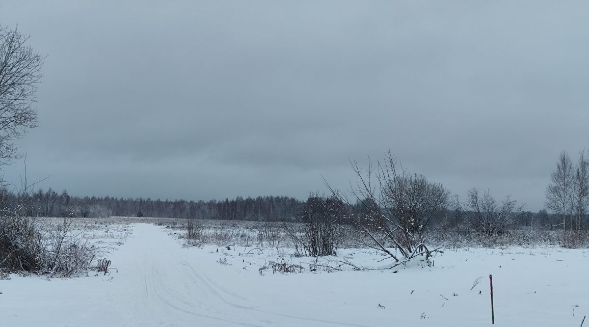 земля городской округ Орехово-Зуевский д Кудыкино фото 1