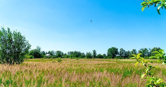 земля городской округ Богородский г Старая Купавна ул Горького 23 км, Горьковское шоссе фото 5