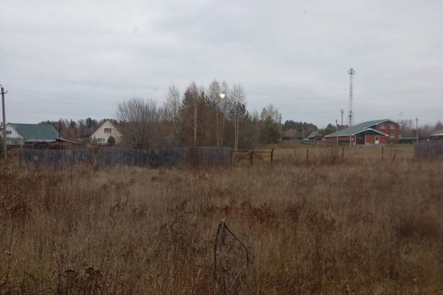 земля Чайковский городской округ, д. Гаревая фото