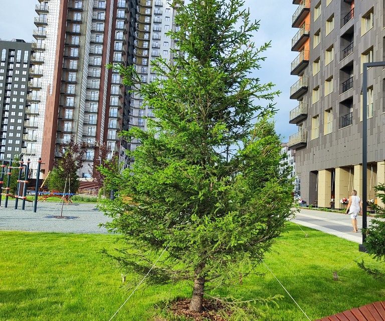 квартира г Новосибирск Владимира Заровного, 6/1, Новосибирск городской округ фото 3