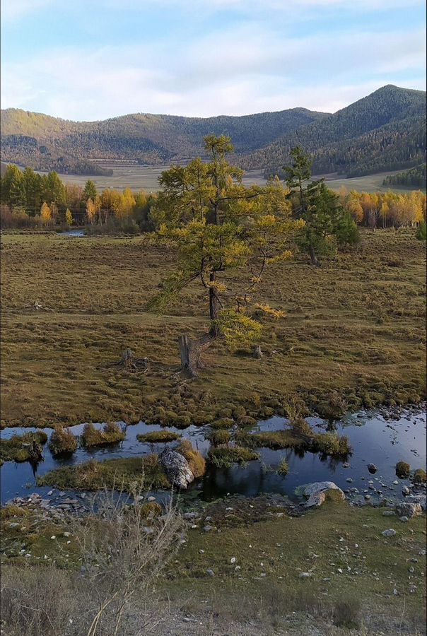 земля р-н Онгудайский с Онгудай 84К-21 фото 1