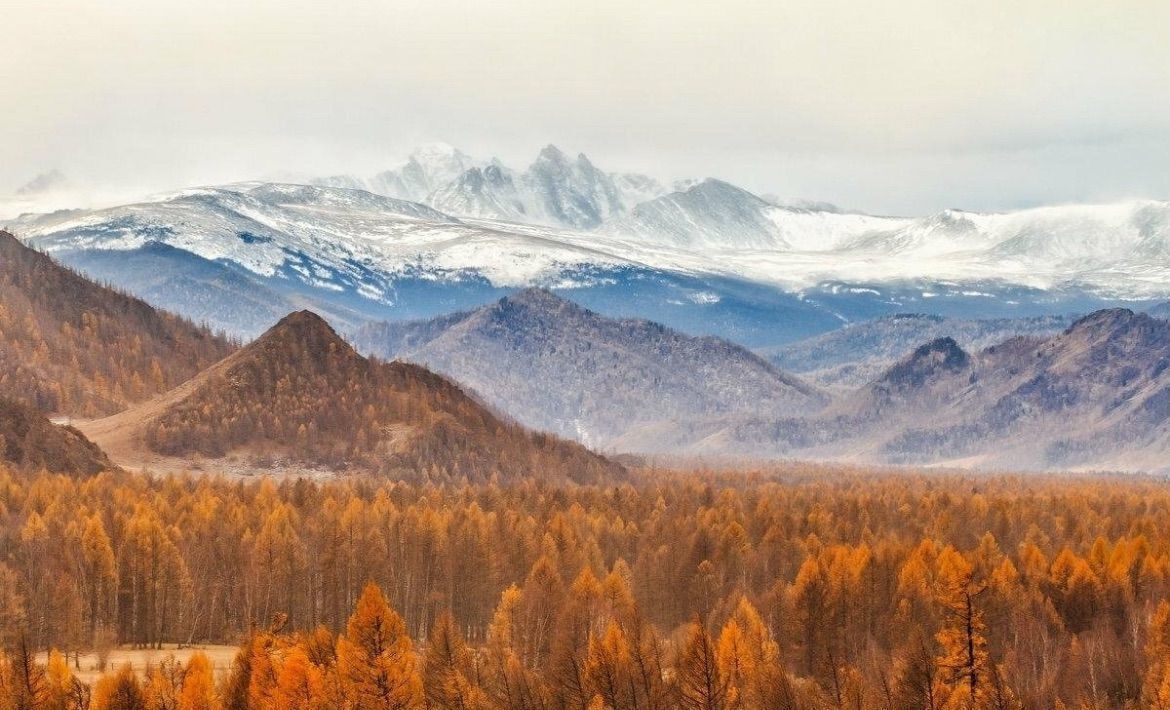 земля р-н Онгудайский с Онгудай 84К-21 фото 10