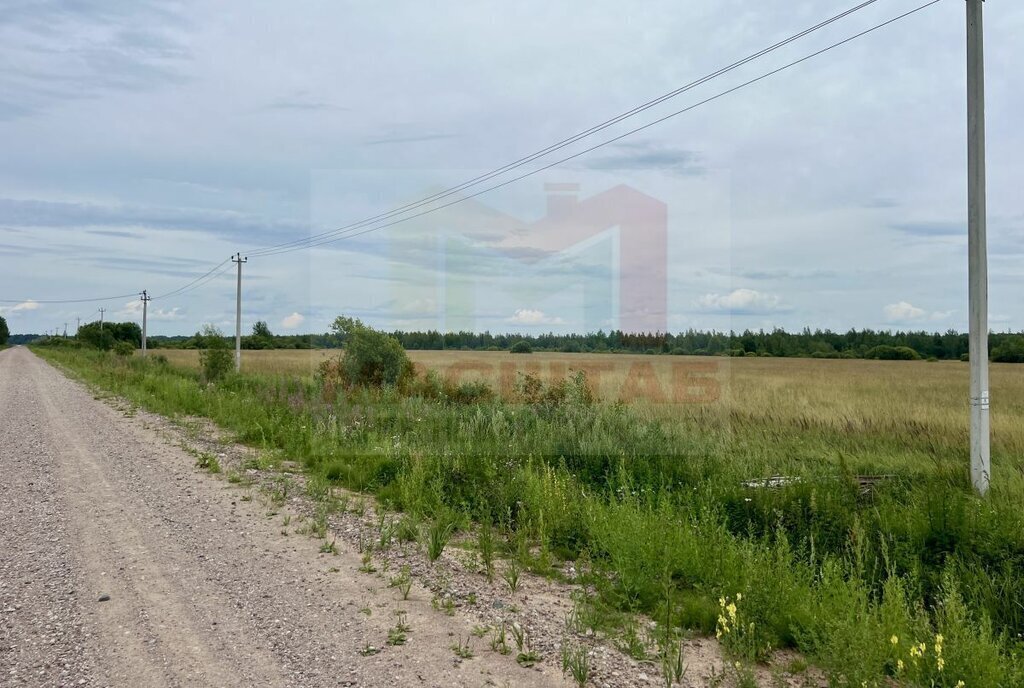 земля р-н Чудовский д Высокое ул Троицкая Трегубовское сельское поселение фото 16