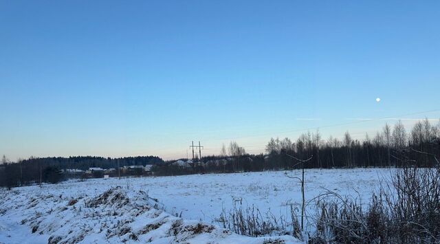 городской округ Дмитровский с Батюшково фото