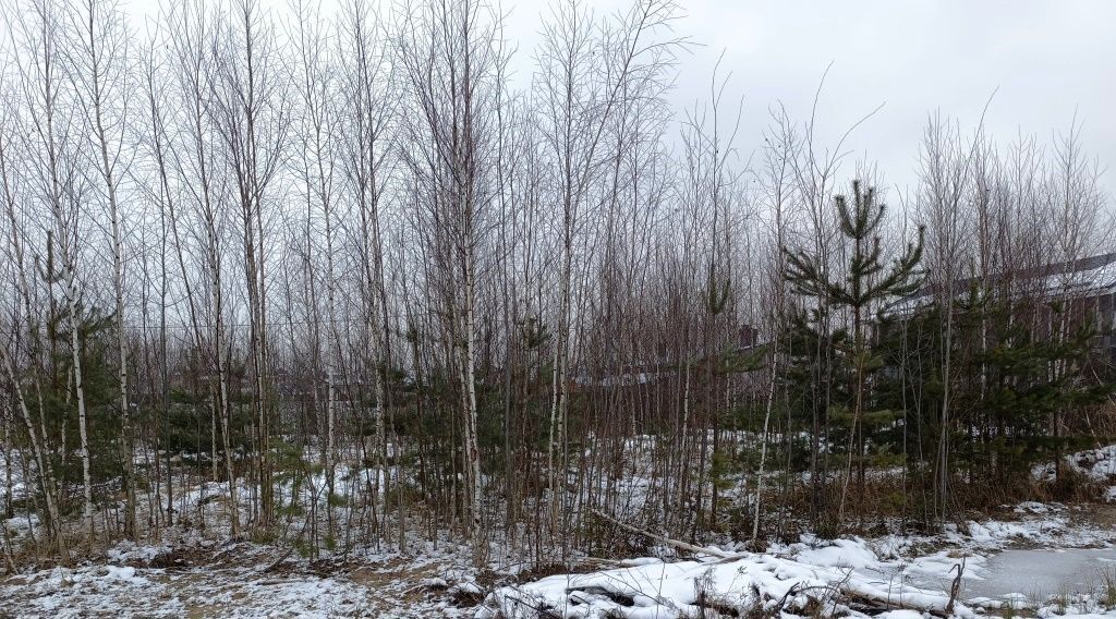 земля городской округ Солнечногорск д Лопотово ул. Ключевая фото 1