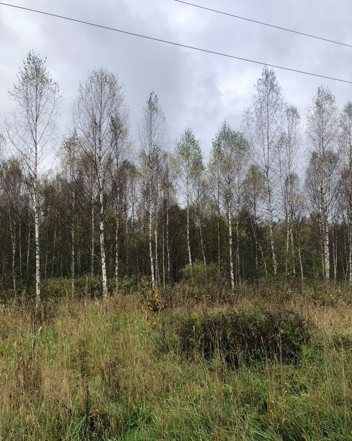 земля городской округ Клин д Захарово ул Полевая 70 км, г. о. Клин, Высоковск, Ленинградское шоссе фото 14