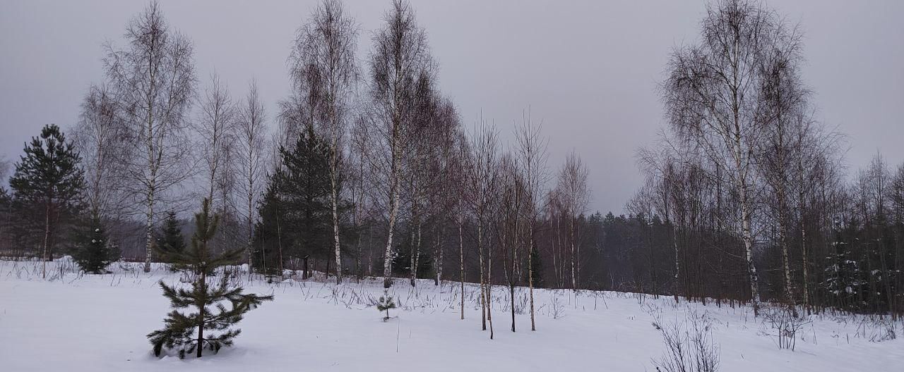 земля городской округ Одинцовский д Фуньково 33 км, Звенигород, Новорижское шоссе фото 6