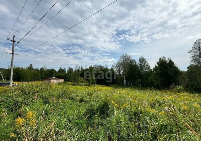 снт Ключи-1 Барышевский сельсовет, Новосибирск фото