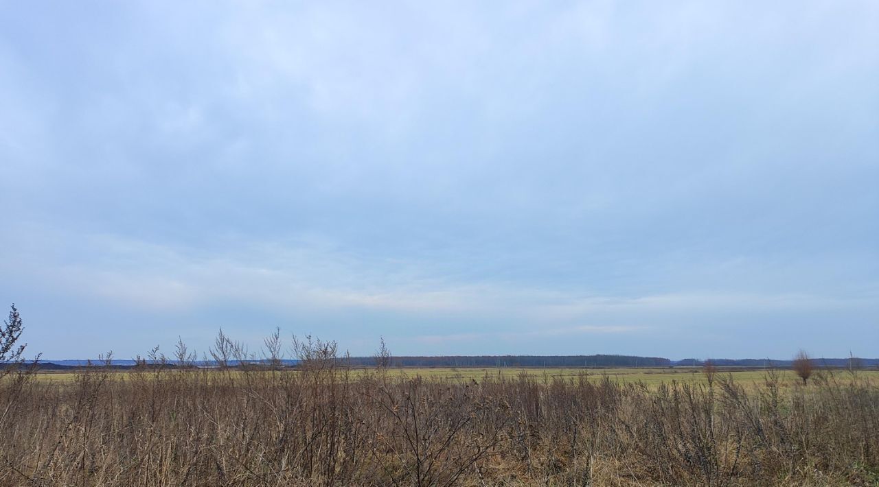 офис городской округ Раменский д Захариха фото 3