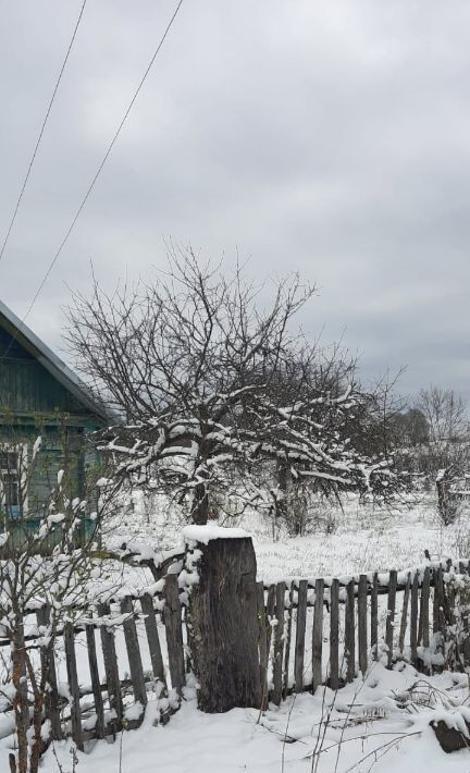 дом р-н Псковский д Шевелево Карамышевская волость фото 4