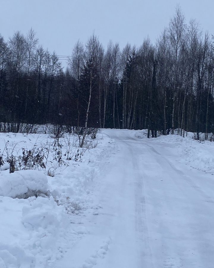 земля р-н Богородский д Выползово ул Букинская Буревестник фото 2