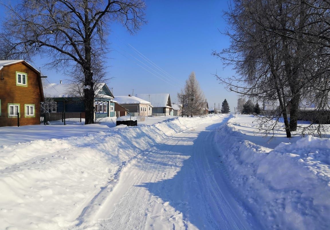 земля р-н Богородский д Сохтанка ул Заречная Ворсма фото 3