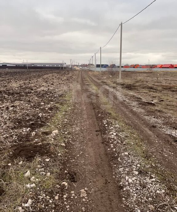 земля р-н Неклиновский с Николаевка ул им Людмилы Родионовой фото 3