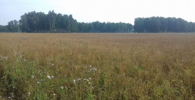 земля с Покровка Покровское сельское поселение, Омск фото