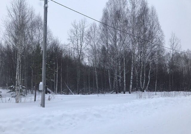 земля г Тобольск территория Панин Бугор, Кедровая ул фото