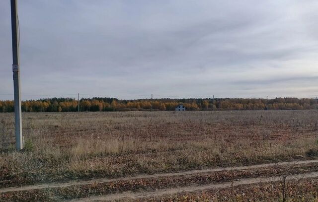 д Курманка ул Полевая Белоярский фото