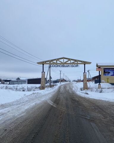 с Конь ул Светлая Республика Татарстан Татарстан, Конское сельское поселение, Пестрецы фото