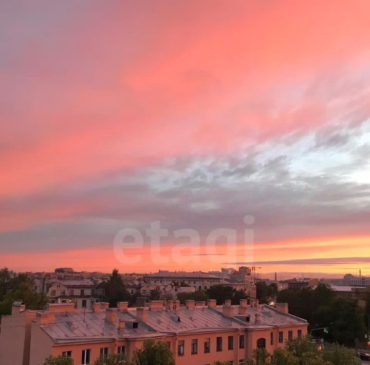 квартира г Санкт-Петербург метро Петроградская ул Плуталова 4 фото 22