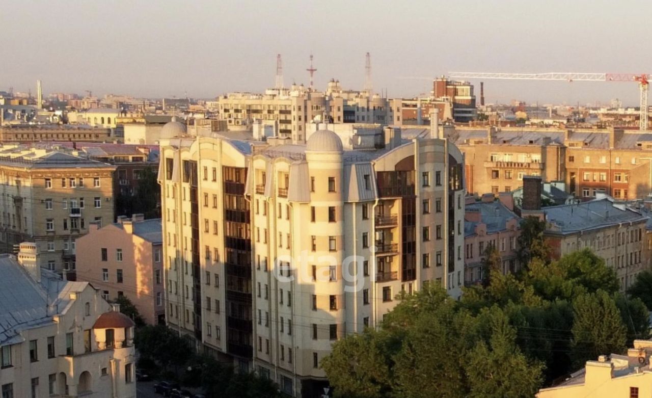 квартира г Санкт-Петербург метро Петроградская ул Плуталова 4 фото 21