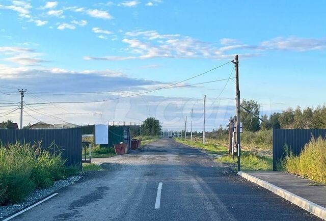 земля снт Большое Царево-2 фото