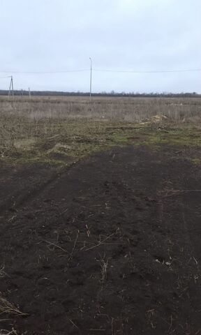 земля х Краснянка Миллеровский р-н, Первомайское сельское поселение, Миллерово фото