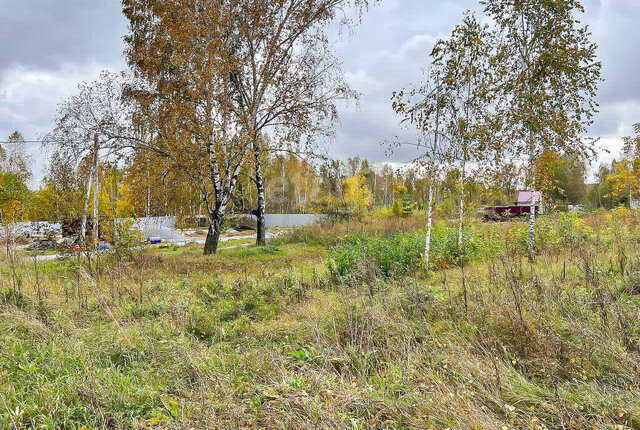 сельсовет, дачное некоммерческое партнёрство Город-Сад фото