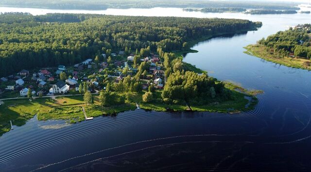 г Конаково мкр Зеленый Бор фото