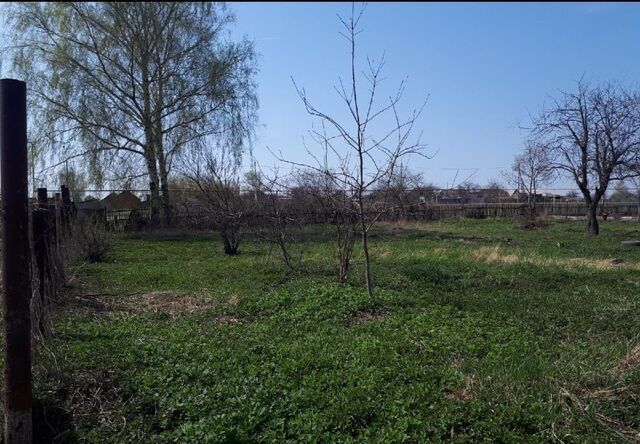 с Товарково сельское поселение Товарковское, слобода Большак, 71, Богородицк фото