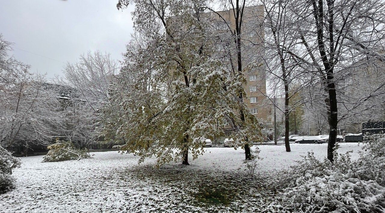 квартира г Москва метро Киевская пр-кт Кутузовский 5/3к 2 муниципальный округ Дорогомилово фото 46