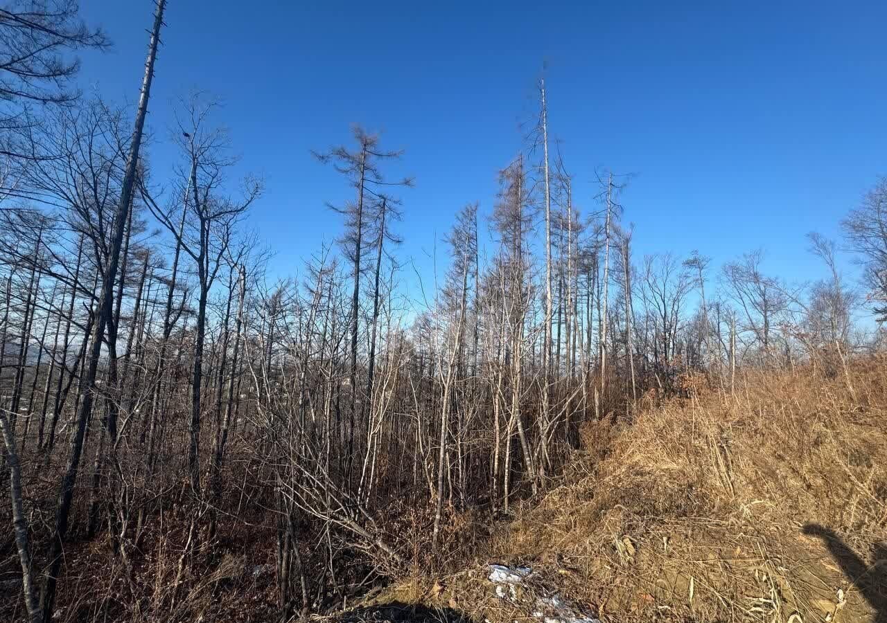 земля г Владивосток п Трудовое ул Лермонтова р-н Советский фото 4