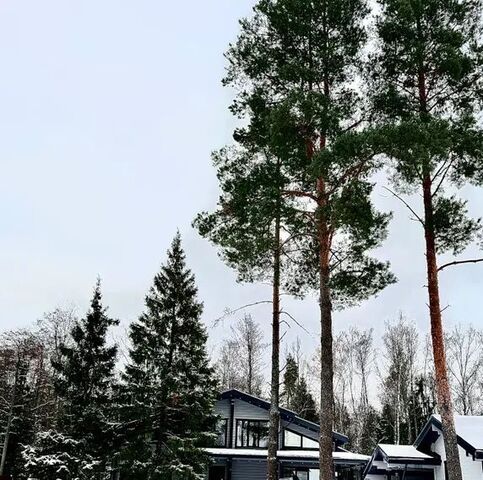 городской округ Раменский днп Усадьба Воронова 70 фото