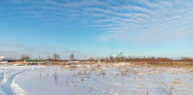 земля р-н Центральный снт Царево ул Грибная фото